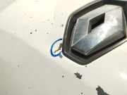 Motorhaube 651001399R Renault III Furgoneta (FV) 2.3 dCi 125 FWD (FV0C, FV0D, FV0G, FV0H, FV0J, FV0K)