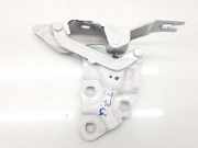 Motorhaubescharnier 41617262875 BMW X3 (F25) SUV xDrive20d 16V (B47-D20A)