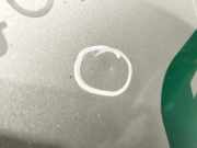 Motorhaube 50158078 Fiat Ducato (250) Van 2.3 D 150 Multijet II VGT (F1AE3481E)