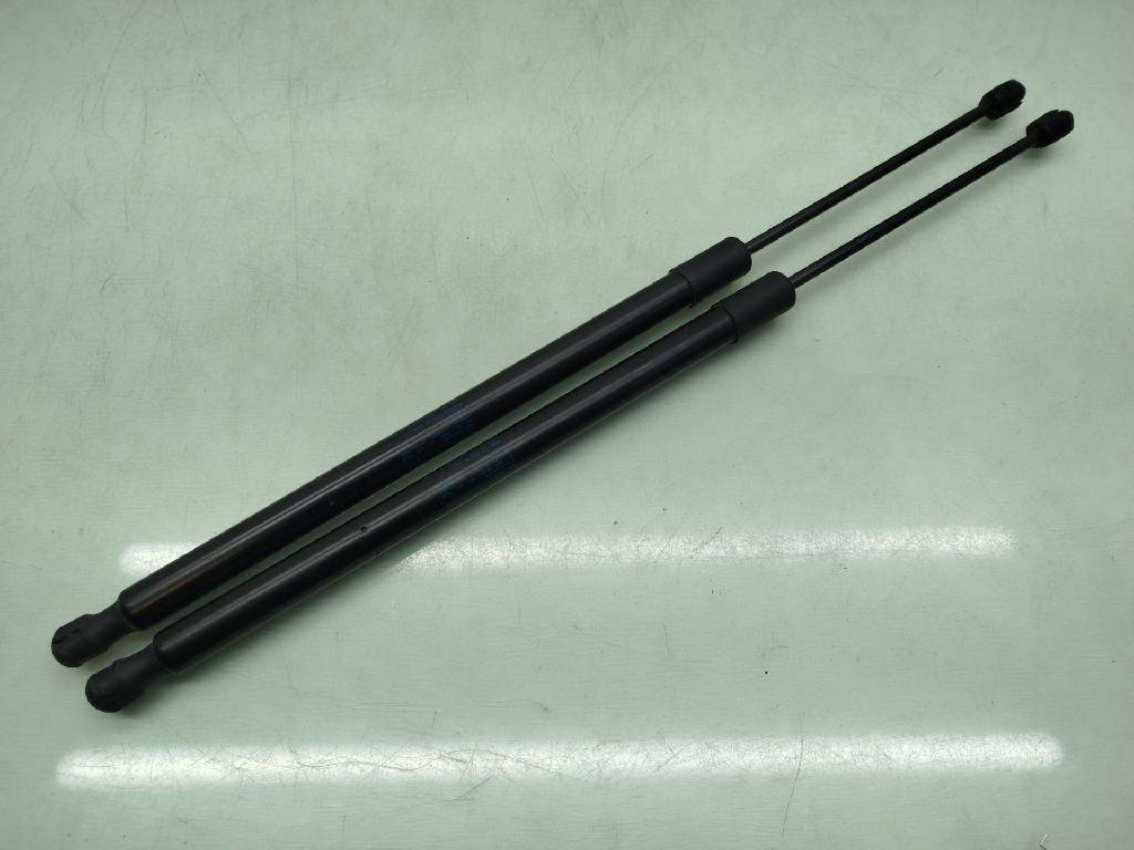 Gasdruckfedern Set Hinten 5NA827550B Volkswagen Tiguan (AD1) SUV 2.0 TDI 16V BlueMotion Technology SCR (DFGC) DFGC