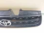 Grill 5310142100 Toyota RAV 4 (A2) 2.0 16V CAT