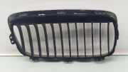 Grill 51137379609 BMW 2 serie Gran Tourer (F46) Großraumlimousine 218d 2.0 TwinPower Turbo 16V (B47-C20A(Euro 6))