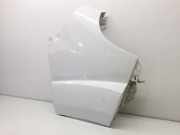 Kotflügel Rechts Vorne 1342573080 Fiat Ducato (250) Ch.Cab/Pick-up 2.3 D 120 Multijet (F1AE0481D)