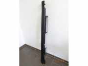 Schwellerleisten Mini Mini Countryman R60 51779801887