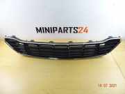 Kühlergrill Mini Mini Countryman R60 51132241482