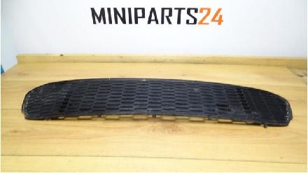 Grill von einem Mini Cooper S