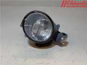 RENAULT CLIO III 2010 D4F-784 Nebelscheinwerfer 8200002469 797230KM