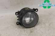 RENAULT MEGANE III 2011 K9K-834 Nebelscheinwerfer 8200074008 0KM