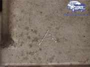 VW PASSAT 3C 2015 DDAA Differential 0CN409053AP 155710KM