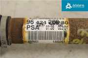 CITROEN XSARA Picasso 2004 RFN Antriebswelle vorne links 3272FJ 71560KM