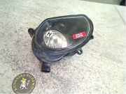 AUDI A3 8P 2004 BGU Nebelscheinwerfer 118050KM