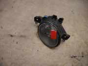 RENAULT CLIO III 2009 D4F-742 Nebelscheinwerfer 8200002469 112840KM
