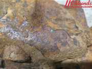 BMW 1 E81/82/87/88 2009 N47-D20A Differential 33107566170 309380KM