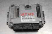 RENAULT MEGANE II 2008 F9Q-803 Motorsteuergerät (ECU) - 174360KM