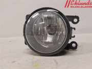 PEUGEOT 307 2007 NFU Nebelscheinwerfer 9650001680 168610KM