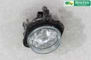 JAGUAR X-TYPE 2001 XB Nebelscheinwerfer 121590KM