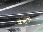 VOLVO S90/V90 2018 B4204T35 Scheinwerfer rechts 31446501 769660KM