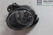 VW PASSAT #C 2006 BMP Nebelscheinwerfer 3C0 941 700 B 200070KM