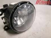 RENAULT MEGANE III 2011 F9Q-870 Nebelscheinwerfer 8200074008 184410KM