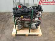 FORD TRANSIT BAGHJ. 2017 XVGA ORIGINAL MOTOR 2039109 251110KM