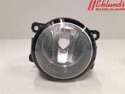 PEUGEOT 307 2006 RFJ Nebelscheinwerfer 9650001680 172220KM