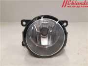 RENAULT MEGANE II 2006 F4R-770 Nebelscheinwerfer 8200074008 139610KM