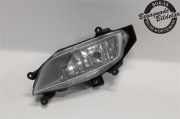 HYUNDAI H350 2012 D4CB Nebelscheinwerfer 92201 4H000 0KM