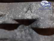 KIA RIO 2016 G4FA ORIGINAL GETRIEBE AUTOMATIK 4500023291 32140KM