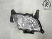 HYUNDAI I30 2009 G4FC Nebelscheinwerfer 110600KM