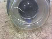 VW TRANSPORTER T4 2000 AES Scheinwerfer rechts - 0KM