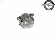 RENAULT MEGANE III 2015 K9K-636 Nebelscheinwerfer 8200074008 122870KM