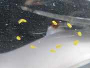 AUDI A4 2008 CAHA Scheinwerfer rechts 8K0941030AJ 2291920KM