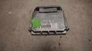 VOLVO V70 2007 D5244T4 Steuergerät Scheinwerfer 30784923 379590KM