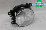RENAULT TALISMAN 2017 K9K-646 Nebelscheinwerfer 261500097R 435470KM
