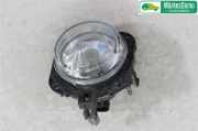 JAGUAR X-TYPE 2001 XB Nebelscheinwerfer 121590KM