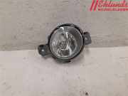 RENAULT CLIO III 2006 K4M-800 Nebelscheinwerfer 8200002470 99000KM