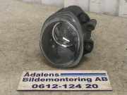 BMW X5 E53 2002 M62-B44 Nebelscheinwerfer 8409025 119850KM