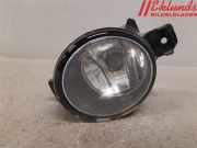 RENAULT CLIO III 2010 D4F-742 Nebelscheinwerfer 8200002469 200820KM