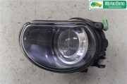 AUDI A8 4E 2004 BHT Nebelscheinwerfer 4E0941699 196620KM