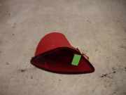 RENAULT CLIO III 2009 D4F-742 Nebelschlußleuchte/Reflektor 8200776121 112840KM