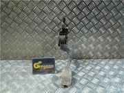 Elektrische Gaspedal 51831864 Fiat Doblo (263) Großraumlimousine 1.3 D Multijet (199.A.3000)