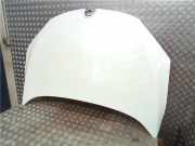 Motorhaube 651009018R Renault Megane III CC (EZ) Cabrio 1.9 dCi (F9Q-N870(Euro 5))