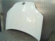 Motorhaube 651000021R Renault Laguna III (BT) Schrägheck 5-drs 1.5 dCi 110 (K9K-780)