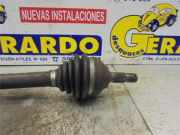 Antriebswelle Rechts Vorne Citroën Xantia (X1/2) Schrägheck 1.9 TD (XUD9TF-L(DHX))