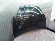 Motorhaube 51775925 Fiat Bravo (198A) Schrägheck 1.6 JTD Multijet 105 (198.A.3000)