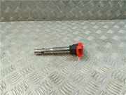 Zündspule 06E905115E Audi A6 (C6) Limousine 2.4 V6 24V (BDW)