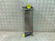 Ladeluftkühler 8200427469 Renault Kangoo Express (FW) Van 1.5 dCi 85 (K9K-802)