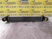 Ladeluftkühler A1695000000 Mercedes-Benz B (W245) Schrägheck 2.0 B-200 CDI 16V (OM640.941) 2005