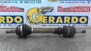 Antriebswelle Links Vorne Citro??n Citroen Berlina (1997->) 1.9 SD SX [1,9 Ltr. - 55 kW Turbodiesel CAT (DHV, DHW / XUD9BSD)] 1999
