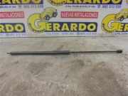 Gasdruckfeder Vorne 654710003R Renault Megane III Berline (BZ) Schrägheck 5-drs 1.9 dCi (F9Q-P872) 2009